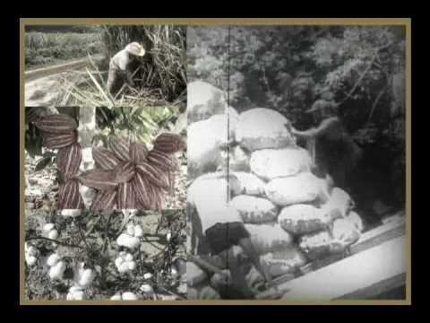 Emilio Restrepo Callejas