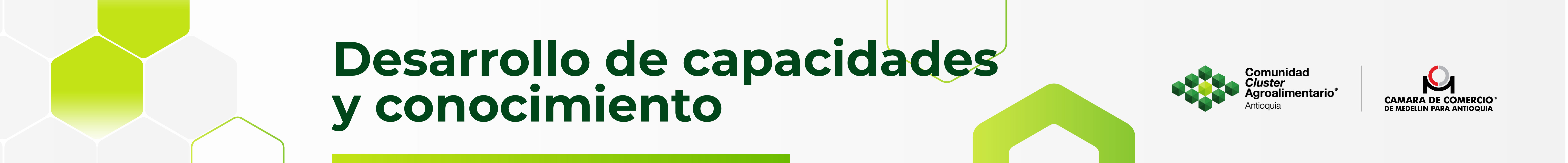 Desarrollo capacidades y conocimiento