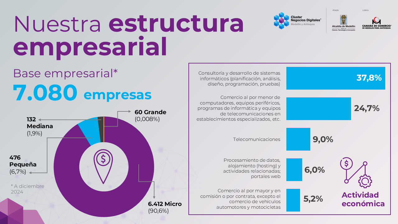 Estructura empresarial Cluster Negocios Digitales