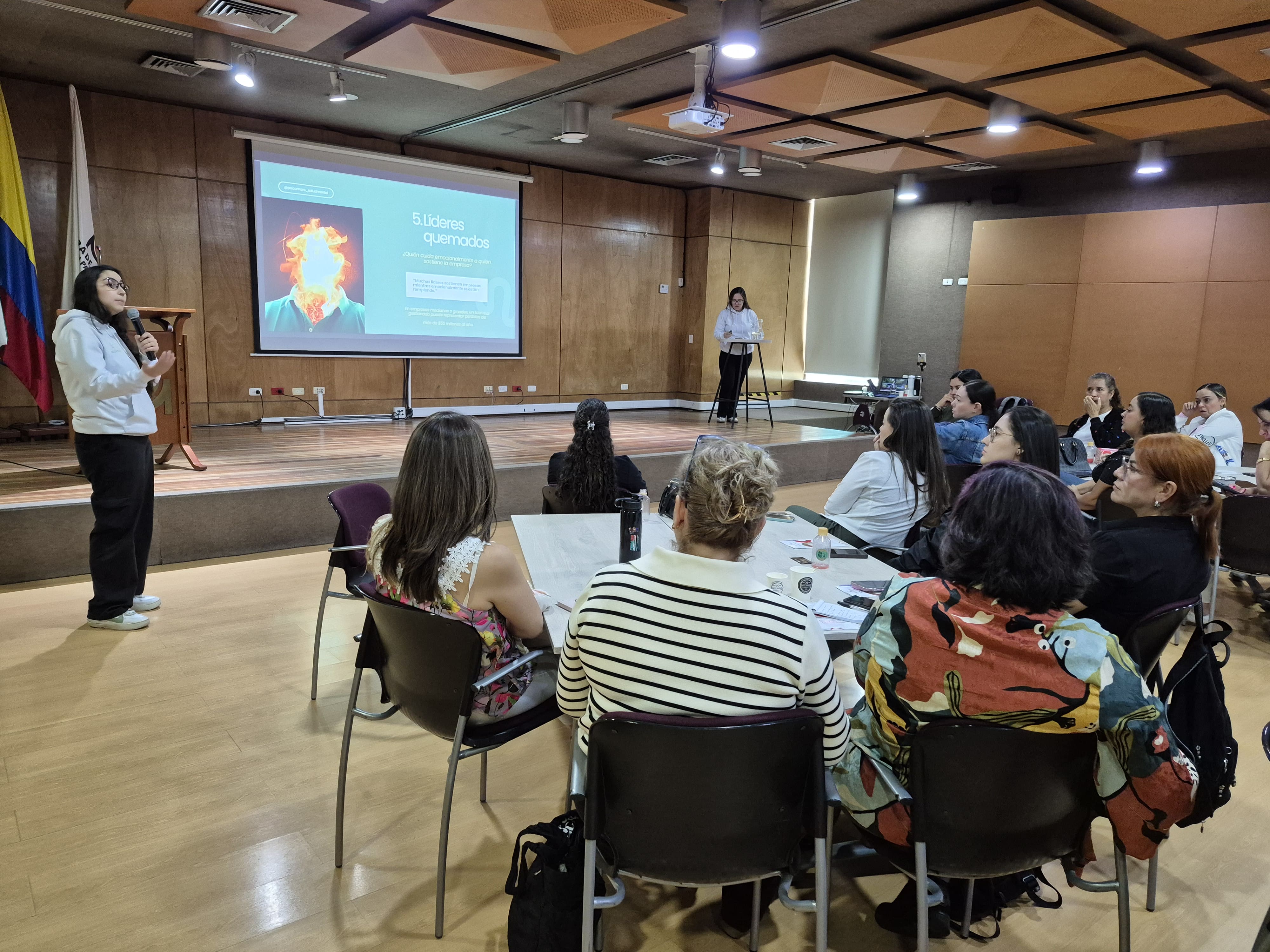cosoto de la salud mental