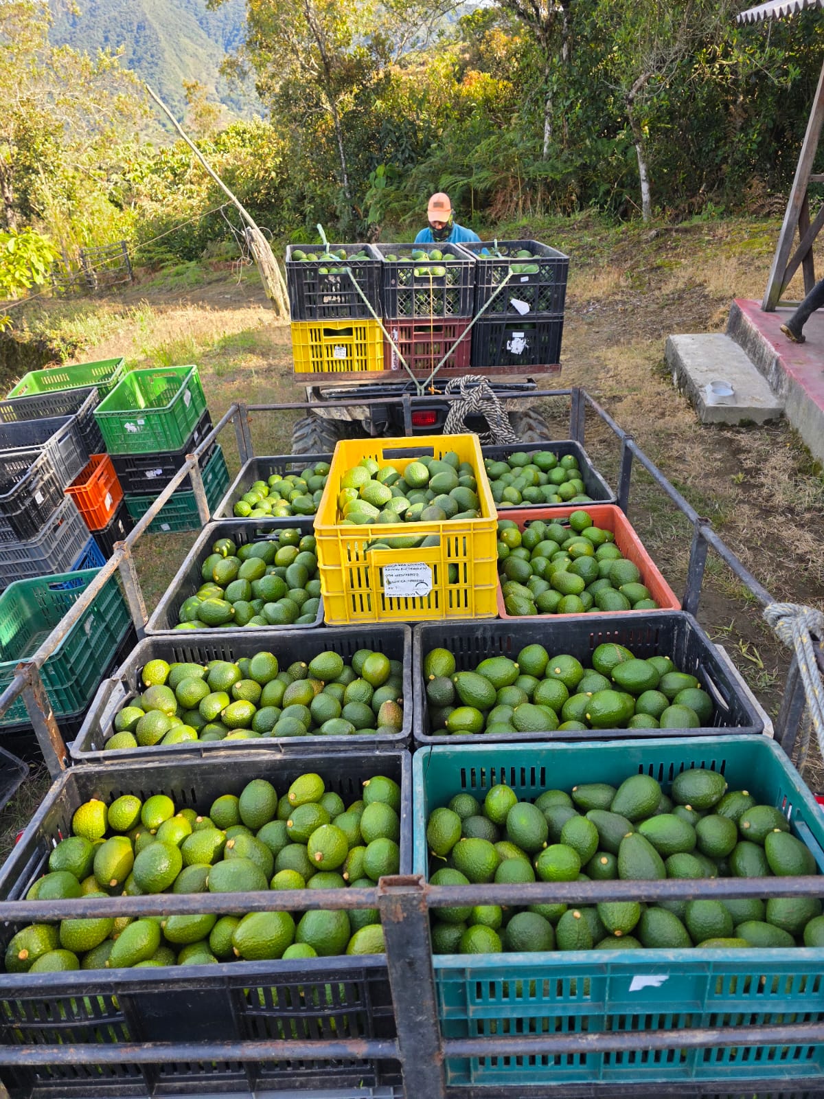 Antioquia Región Alimentaria