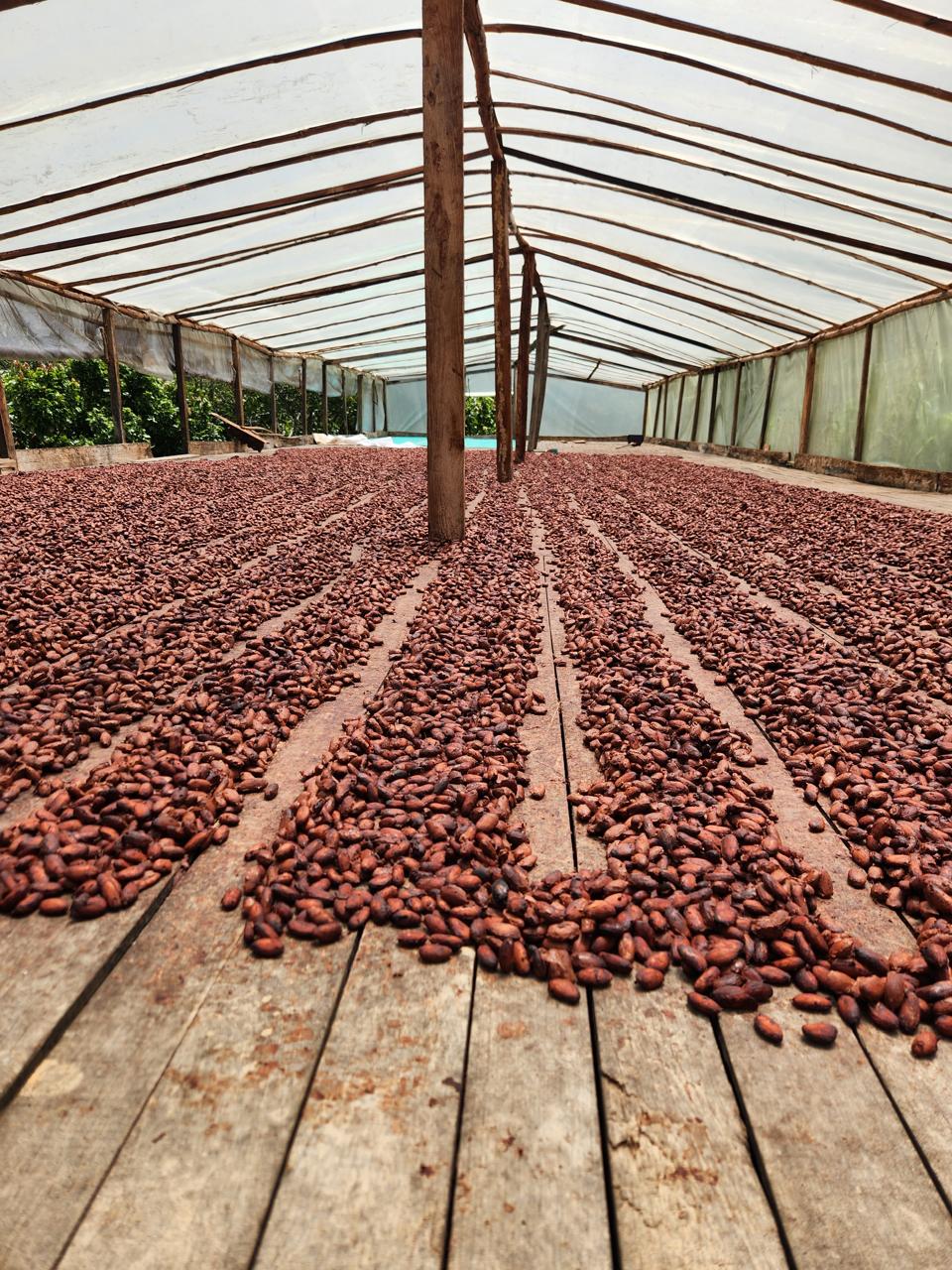 Cluster Agrialimentario Cámara