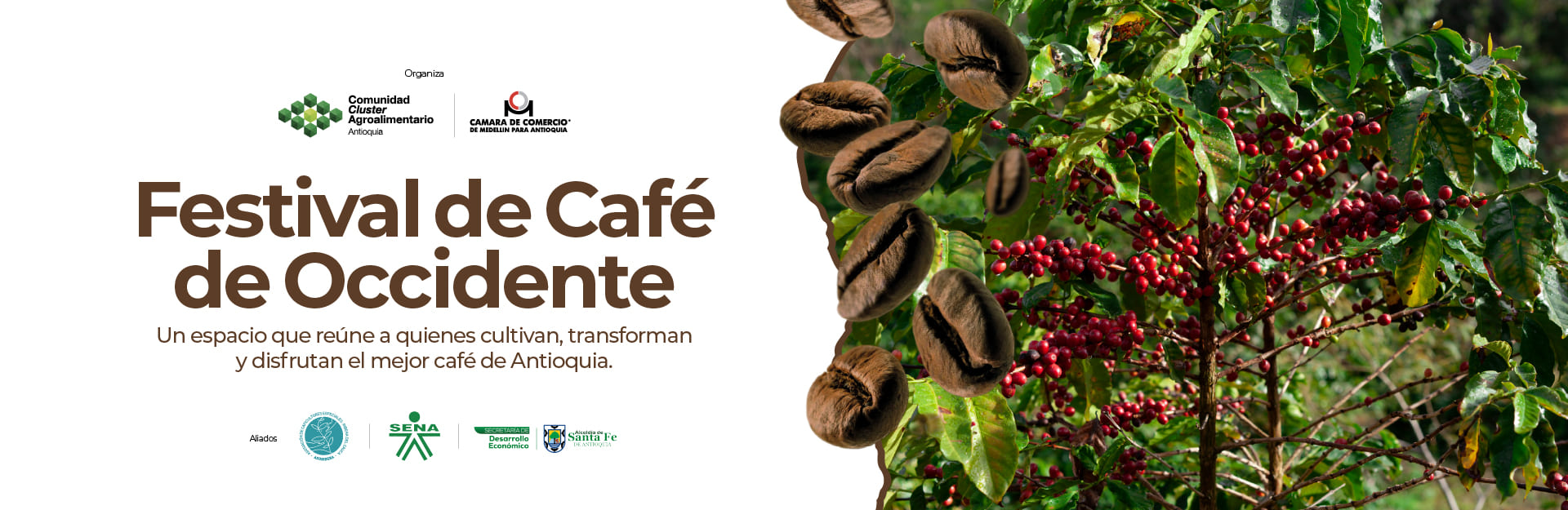 Festival de Café de occidente