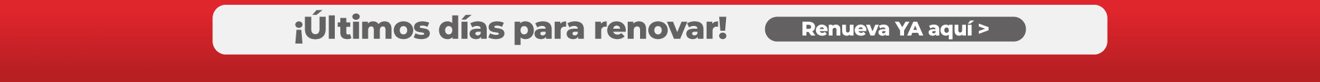 Renovación 2025