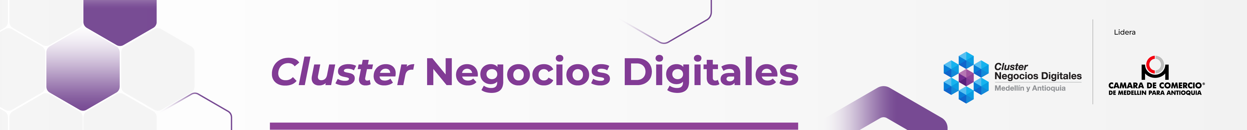 Cluster negocios digitales 